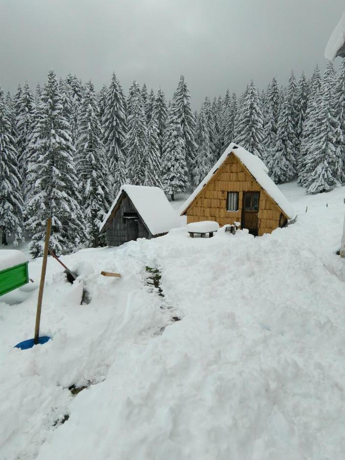 Cottage Bosaca Žabljak Esterno foto