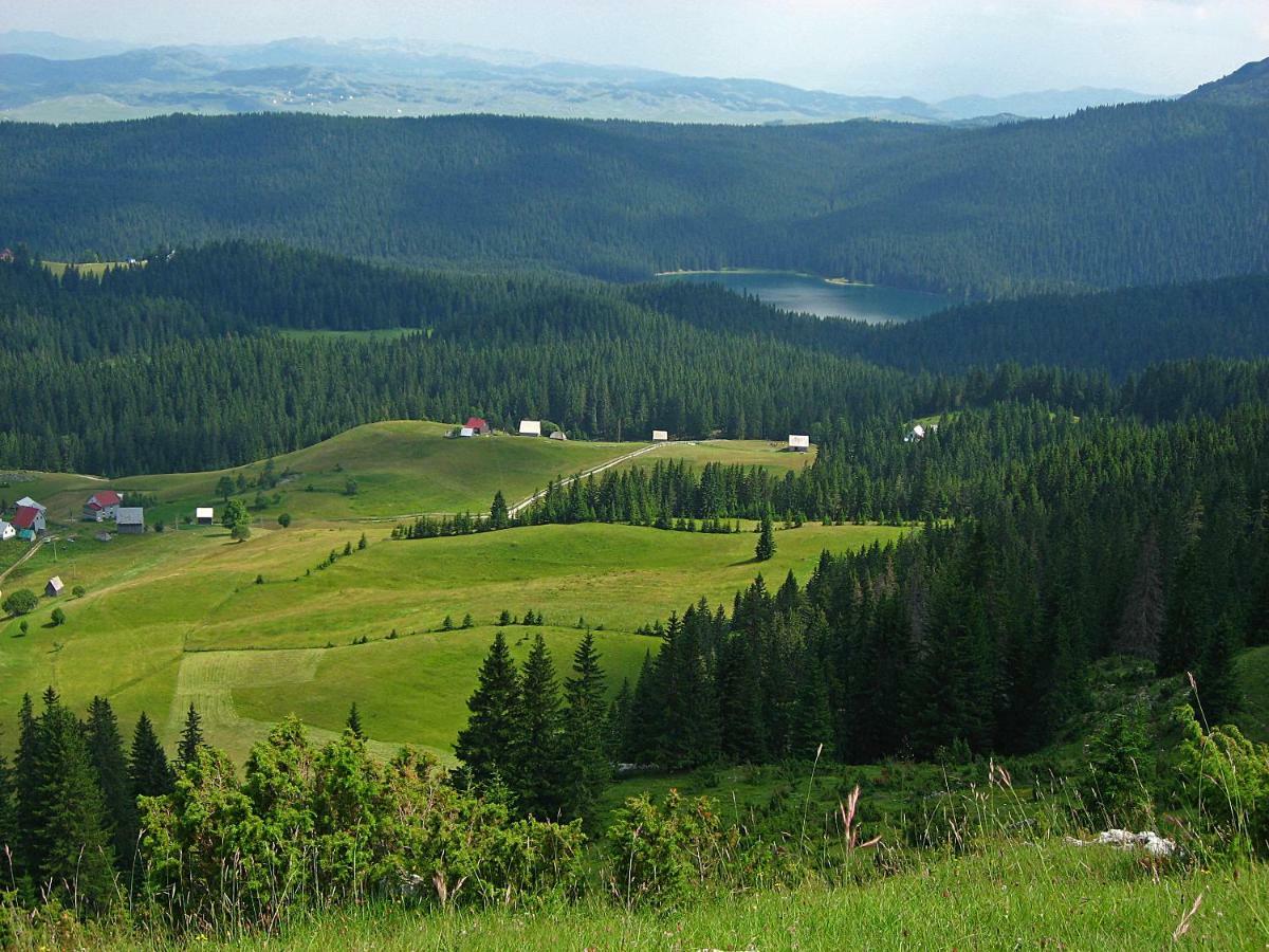 Cottage Bosaca Žabljak Esterno foto